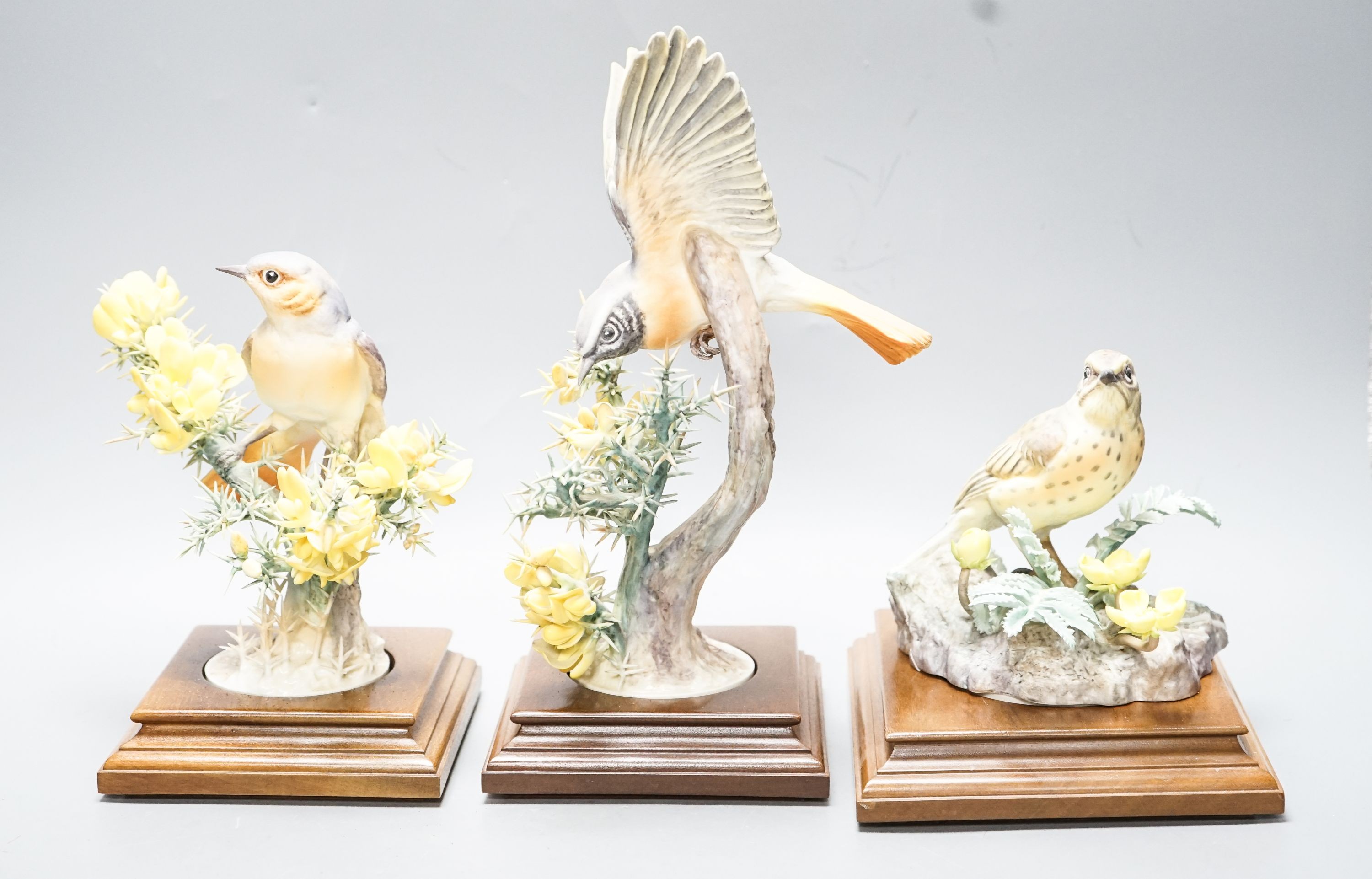 Three Royal Worcester porcelain groups of birds, modelled by Dorothy Doughty - ‘’Redstart and Gorse’’, (hen and cock) and ‘’Meadow Pipit and Silverweed’’, each with certificates